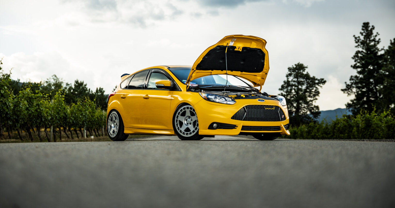 Exquisite Mobile Detailing Ford Focus ST After Photo Hood Up